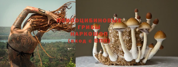 гидра Беломорск