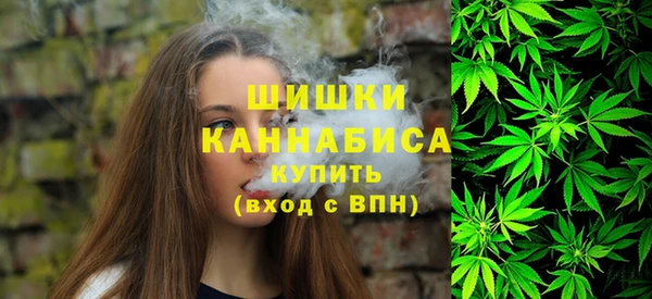 метадон Белокуриха