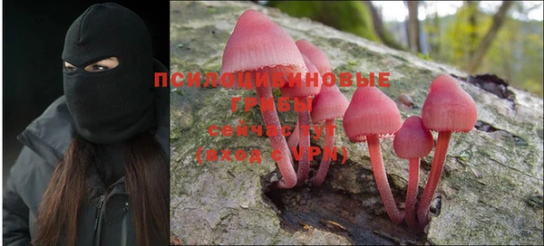 метадон Белокуриха