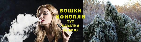 метадон Белокуриха